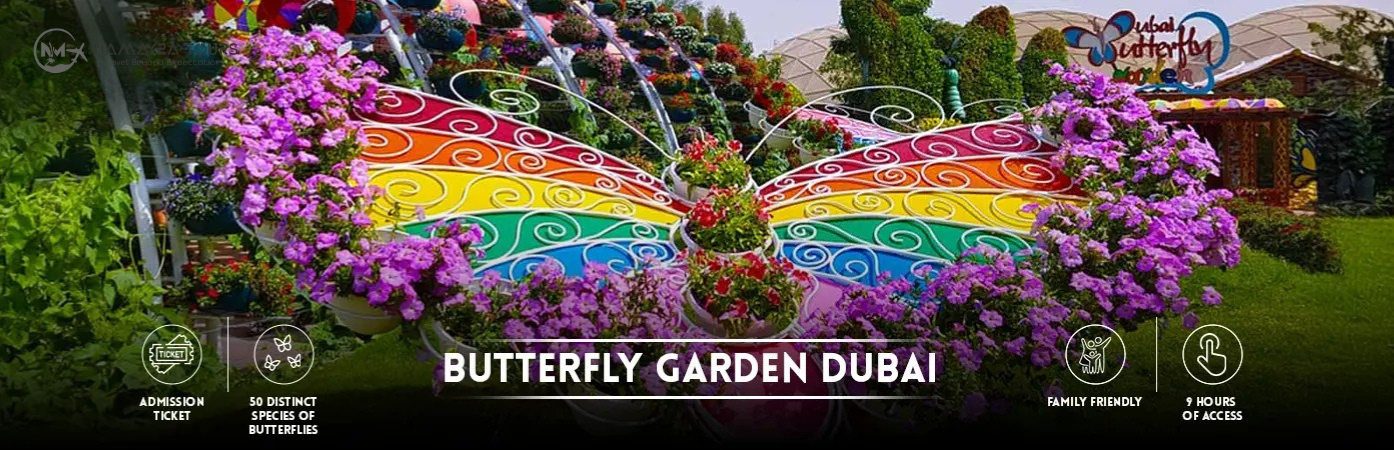 Best Dubai Butterfly Garden Tickets