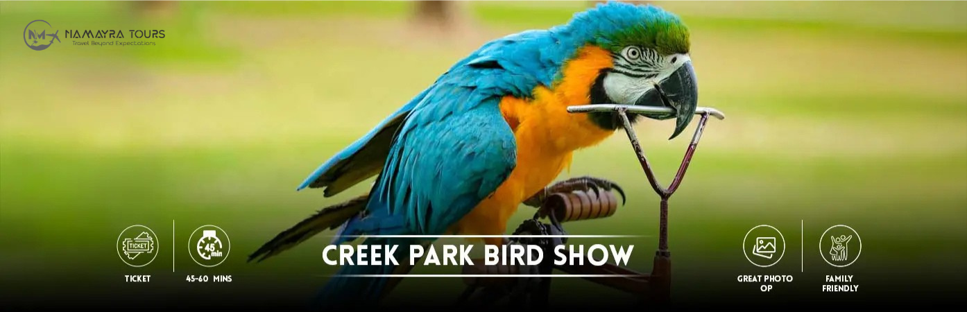 Best Dubai Creek Park Bird Show Tickets