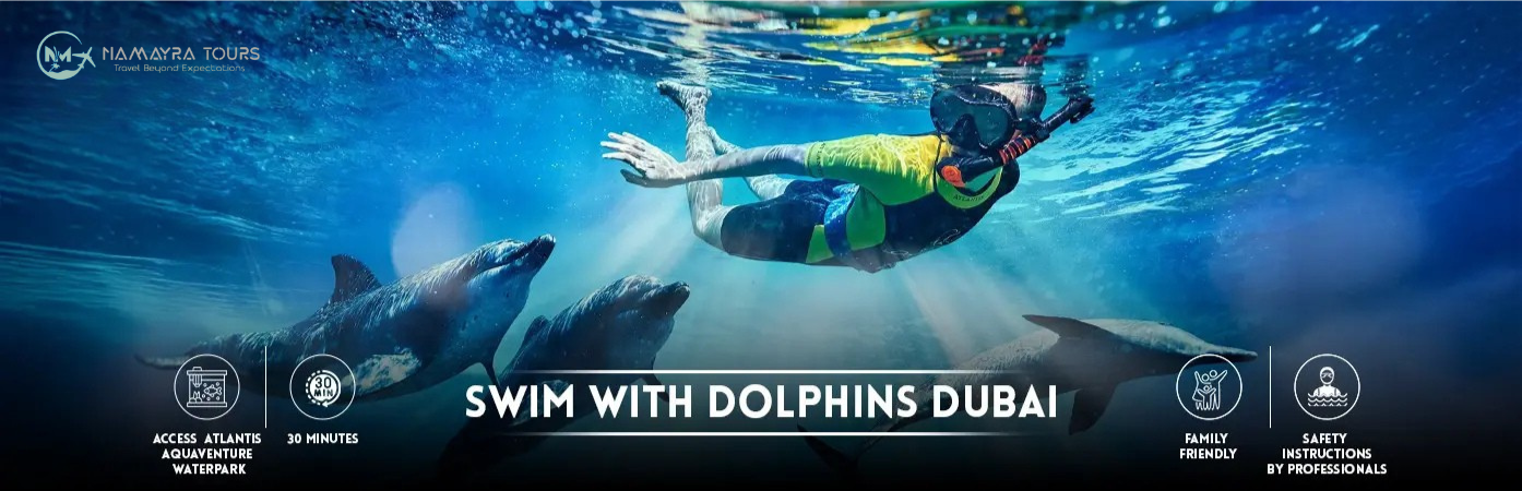 Swim with Dolphins Dubai Tickets